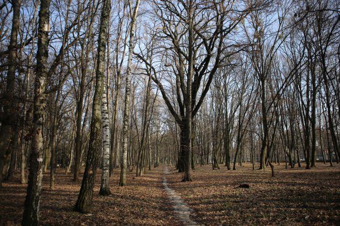 Новини Вінниці - фото з На календарі ще лютий, а на вулицях Вінниці — майже весна На календарі ще лютий, а на вулицях Вінниці — майже весна, фото №2 на сайті 20minut.ua