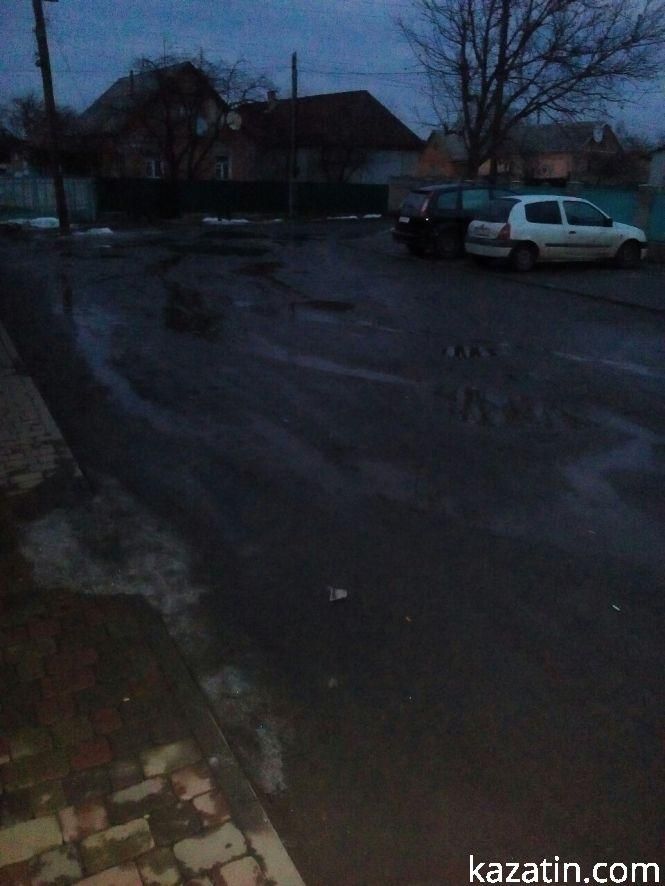 Фото дня: болотяні дороги та собаки, фото №2 на сайті 20minut.ua