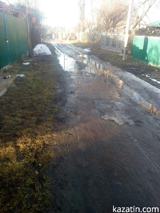 Фото дня: болотяні дороги та собаки, фото №1 на сайті 20minut.ua