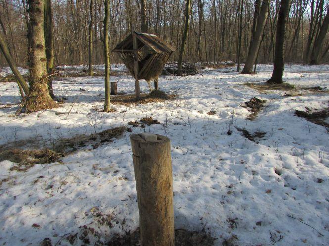 Як доглядають за тваринами лісники (Оновлено), фото №12 на сайті 20minut.ua