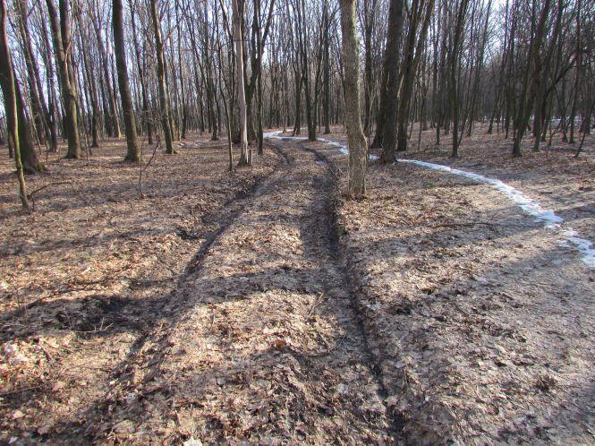 Як доглядають за тваринами лісники (Оновлено), фото №8 на сайті 20minut.ua