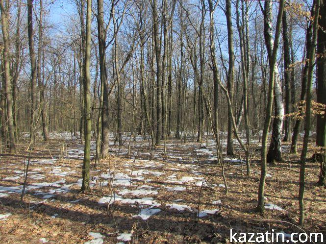 Як доглядають за тваринами лісники (Оновлено), фото №5 на сайті 20minut.ua