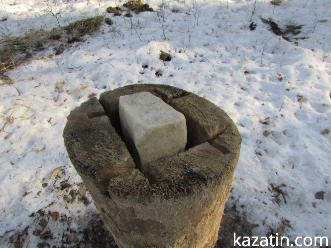 Як доглядають за тваринами лісники (Оновлено), фото №4 на сайті 20minut.ua