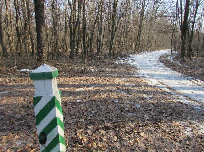 Як доглядають за тваринами лісники (Оновлено), фото №10 на сайті 20minut.ua