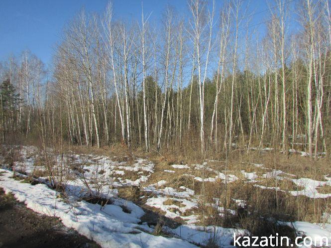 Як доглядають за тваринами лісники (Оновлено), фото №3 на сайті 20minut.ua