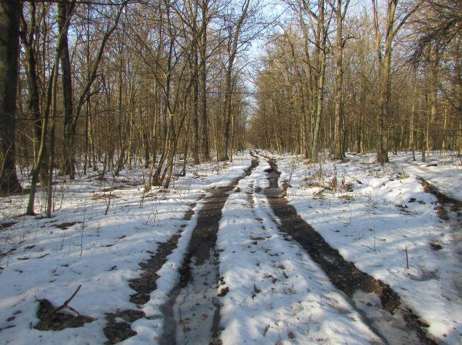 Як доглядають за тваринами лісники (Оновлено), фото №9 на сайті 20minut.ua