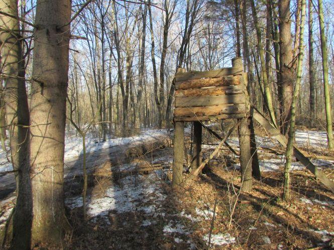 Як доглядають за тваринами лісники (Оновлено), фото №11 на сайті 20minut.ua