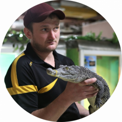 «З рептиліями мені затишно»: про єдину в Україні крокодилячу ферму, фото №1 на сайті 20minut.ua