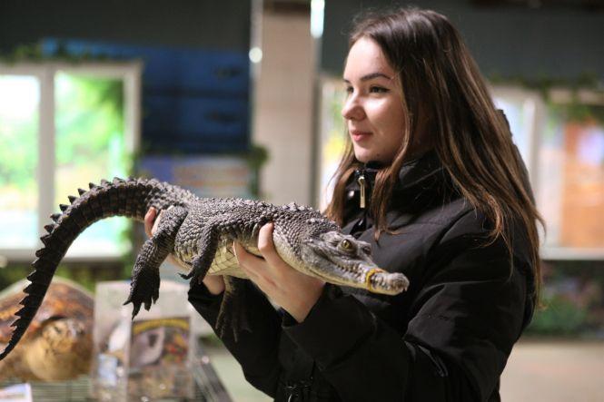 «З рептиліями мені затишно»: про єдину в Україні крокодилячу ферму, фото №2 на сайті 20minut.ua