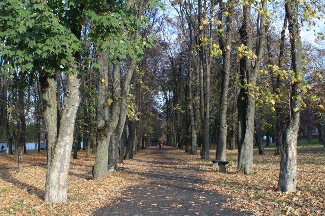 Новини Вінниці - фото з Будинок-паркінг, алея на Стрілецькій та музей: нові проекти для Вінниці у 2019 році Будинок-паркінг, алея на Стрілецькій та музей: нові проекти для Вінниці у 2019 році, фото №3 на сайті 20minut.ua