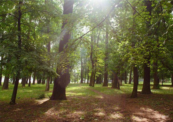 Новини Вінниці - фото з Вінничанам покажуть фінальну концепцію нового парку «Хімік» Вінничанам покажуть фінальну концепцію нового парку «Хімік», фото №2 на сайті 20minut.ua