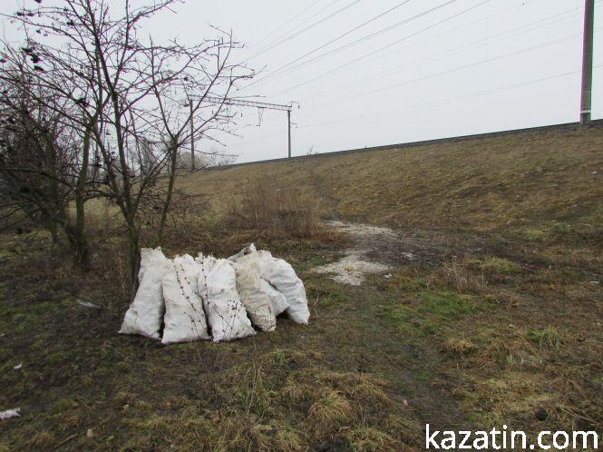 Чиї кістки?, фото №6 на сайті 20minut.ua