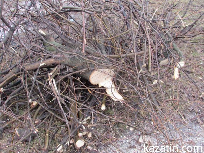 Меру на замітку, фото №2 на сайті 20minut.ua