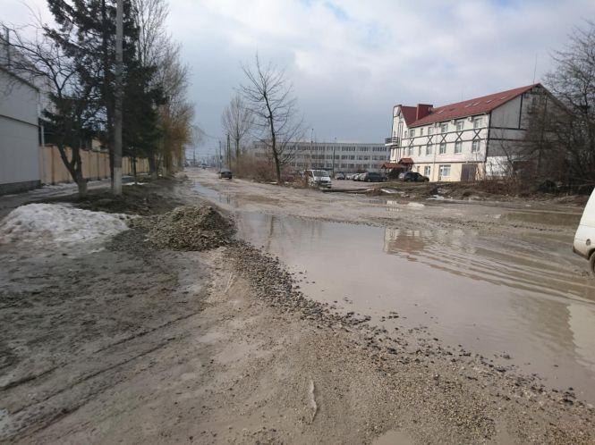 "В ті ями вже напевно можна рибу запускати", - підприємці з Поліської хочуть, щоб відремонтували дорогу, фото №1 на сайті 20minut.ua