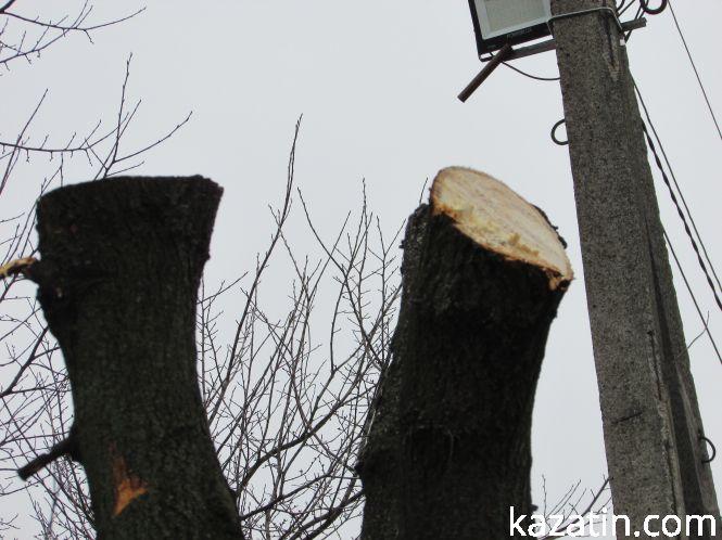 Меру на замітку, фото №4 на сайті 20minut.ua