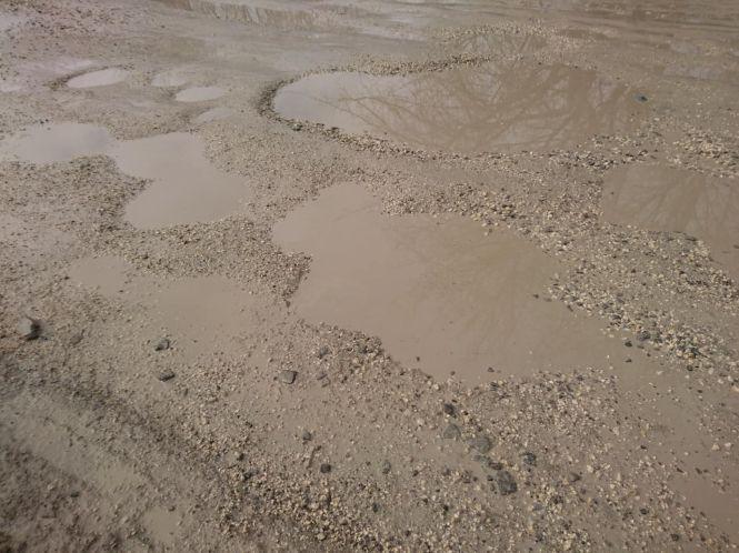 "В ті ями вже напевно можна рибу запускати", - підприємці з Поліської хочуть, щоб відремонтували дорогу, фото №2 на сайті 20minut.ua