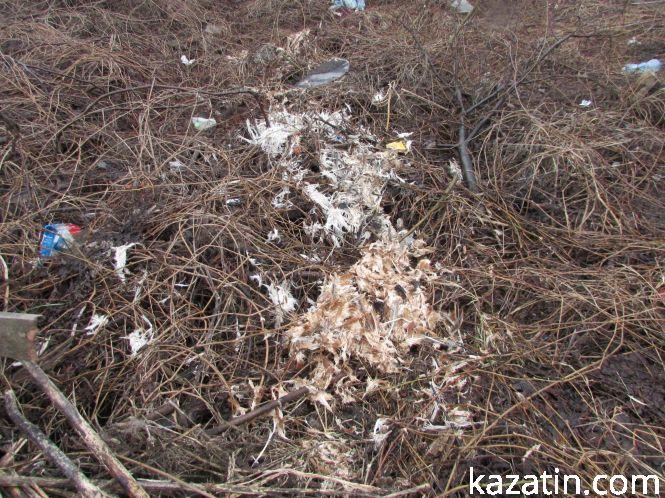 Чиї кістки?, фото №4 на сайті 20minut.ua