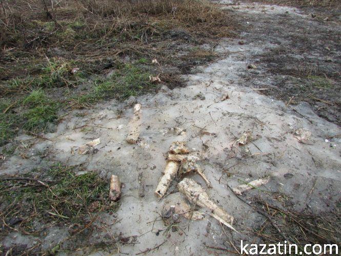 Чиї кістки?, фото №2 на сайті 20minut.ua