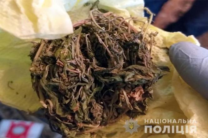 Новини Кам'янця-Подільського - фото з Поліцейські Кам’янця затримали підозрюваних у наркодилерстві Поліцейські Кам’янця затримали підозрюваних у наркодилерстві, фото №3 на сайті 20minut.ua