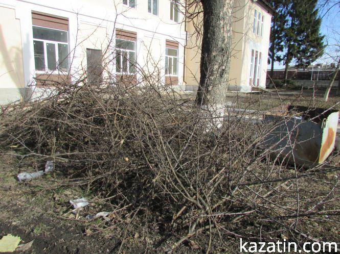 Біля профілакторію заготовляли дрова, фото №4 на сайті 20minut.ua