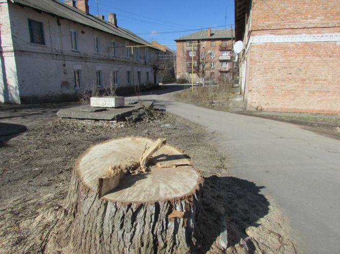 Козятинській СБУ з бюджету дали 300 тисяч?! (Оновлено + фото та відео), фото №6 на сайті 20minut.ua