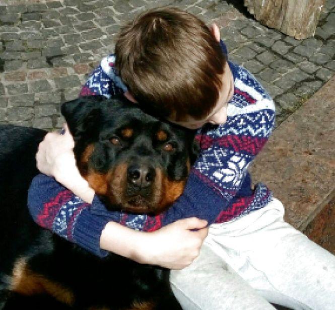 Похваліться своїми домашніми улюбленцями, фото №1 на сайті 20minut.ua