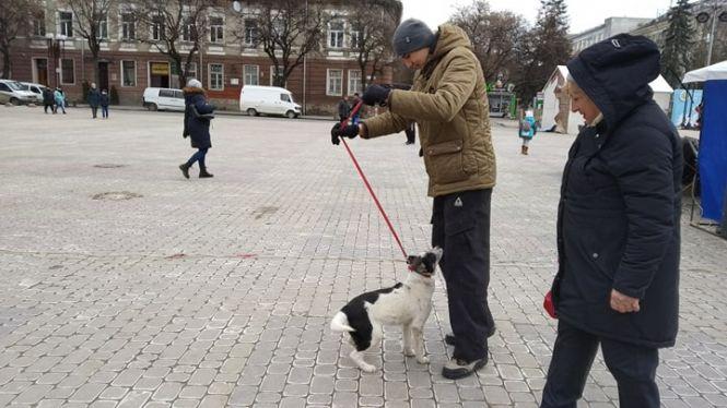 Новини Тернополя - фото з "Знімай шубу назавжди": хто прийшов на  антихутрову акцію в Тернополі "Знімай шубу назавжди": хто прийшов на  антихутрову акцію в Тернополі, фото №3 на сайті 20minut.ua