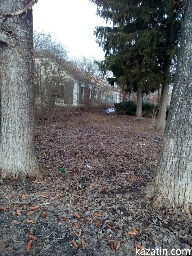 Пейзажі бувшого колгоспу села Козятин — руїни та сміття, фото №6 на сайті 20minut.ua