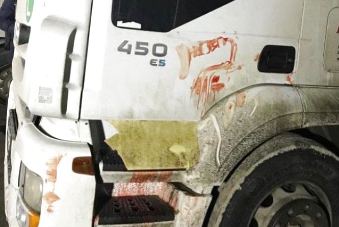 Події у Кам’янці-Подільському, які ви могли пропустити: ТОП - 5 новин, фото №1 на сайті 20minut.ua