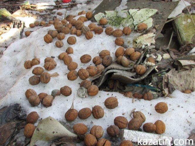 Замість "пролісків" на ПРБ в Козятині повилазили сміття і люки без кришок, фото №2 на сайті 20minut.ua