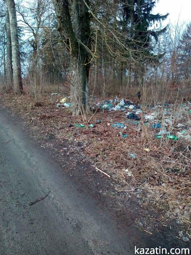 Пейзажі бувшого колгоспу села Козятин — руїни та сміття, фото №7 на сайті 20minut.ua