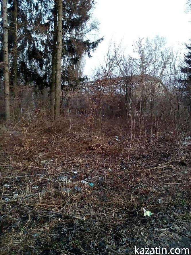 Пейзажі бувшого колгоспу села Козятин — руїни та сміття, фото №3 на сайті 20minut.ua