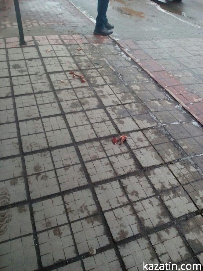 Козятин сьогодні — собаки та кістки під ногами, фото №2 на сайті 20minut.ua