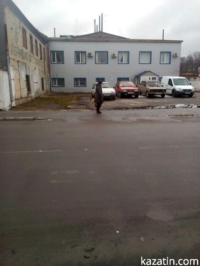 Козятин сьогодні — собаки та кістки під ногами, фото №1 на сайті 20minut.ua