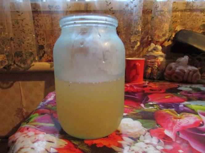 Новини Козятина - фото з Риба з водою: це так треба? Риба з водою: це так треба?, фото №1 на сайті 20minut.ua