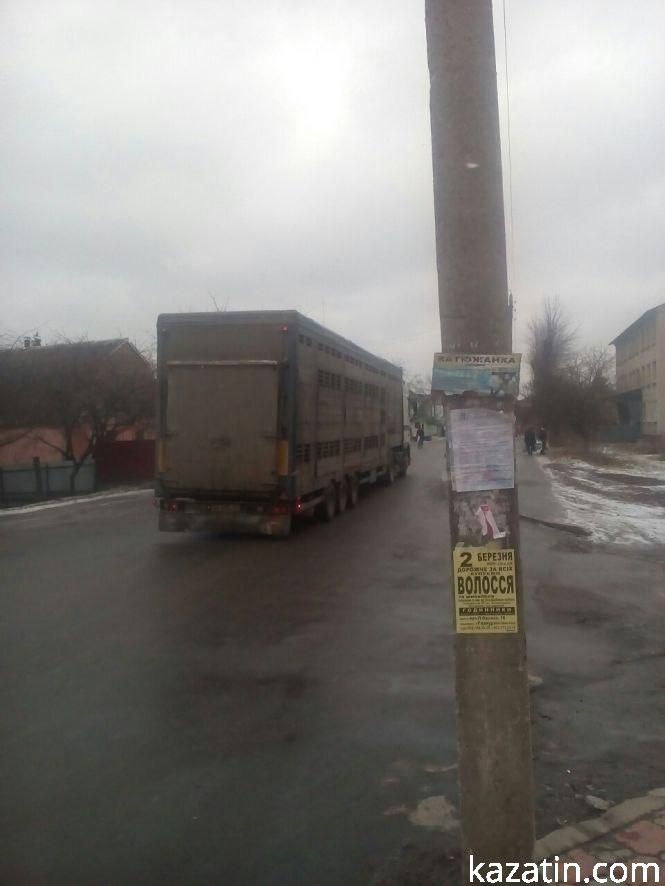 Козятин в останній день зими — калюжі, фури та сміття, фото №2 на сайті 20minut.ua