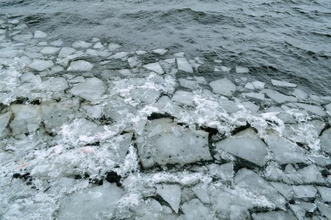 Новини Хмельницького - фото з Як виглядає Хмельницький у перший день весни (ФОТО, ВІДЕО) Як виглядає Хмельницький у перший день весни (ФОТО, ВІДЕО), фото №5 на сайті vsim.ua