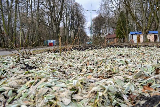 Новини Хмельницького - фото з Як виглядає Хмельницький у перший день весни (ФОТО, ВІДЕО) Як виглядає Хмельницький у перший день весни (ФОТО, ВІДЕО), фото №19 на сайті vsim.ua