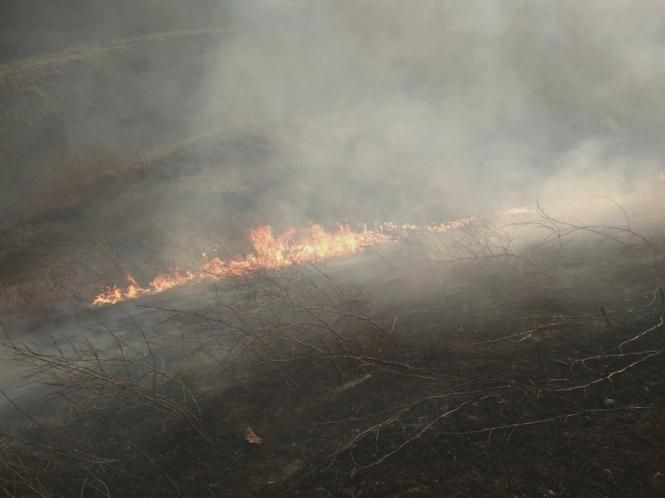 Новини Кам'янця-Подільського - фото з Фотофакт: Вогнеборці Кам’янця рятують довкілля (ОНОВЛЕНО) Фотофакт: Вогнеборці Кам’янця рятують довкілля (ОНОВЛЕНО), фото №4 на сайті 20minut.ua