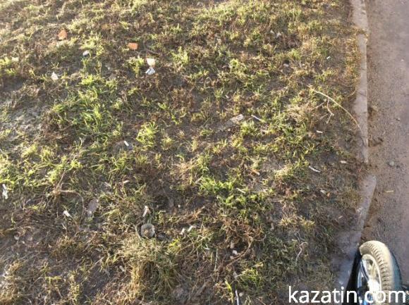 Козятин на другий день весни, фото №2 на сайті 20minut.ua