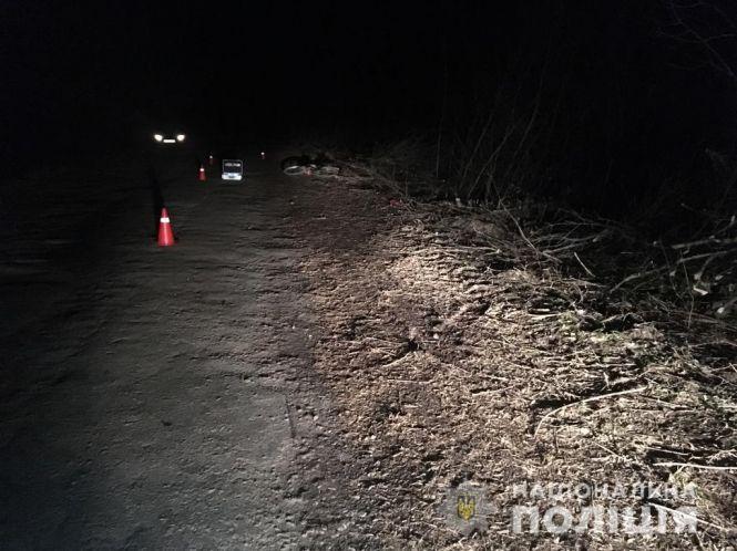 Розшукали водія, який збив жінку та втік з місця автопригоди, фото №2 на сайті 20minut.ua