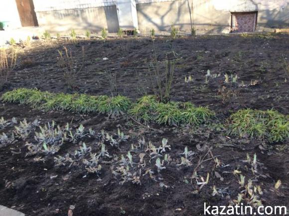 Козятин на другий день весни, фото №1 на сайті 20minut.ua