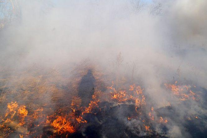 «Сабарів on fire»: вінничани разом з рятувальниками гасили палаючу суху траву, фото №7 на сайті 20minut.ua