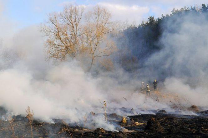«Сабарів on fire»: вінничани разом з рятувальниками гасили палаючу суху траву, фото №6 на сайті 20minut.ua