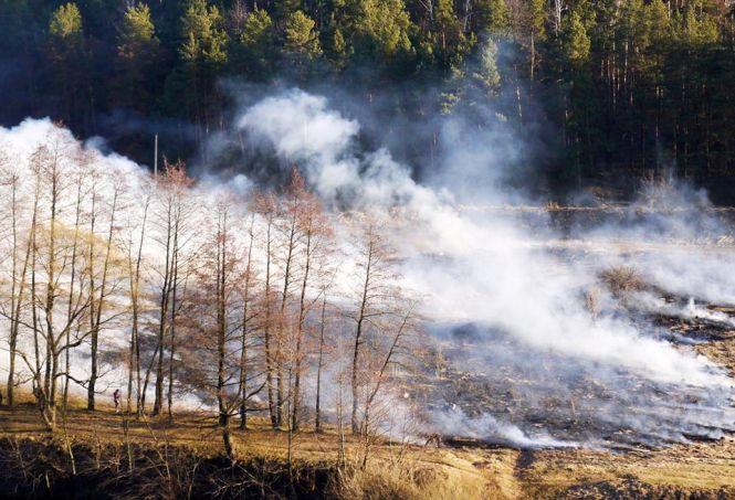 «Сабарів on fire»: вінничани разом з рятувальниками гасили палаючу суху траву, фото №1 на сайті 20minut.ua