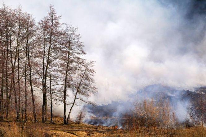 «Сабарів on fire»: вінничани разом з рятувальниками гасили палаючу суху траву, фото №5 на сайті 20minut.ua