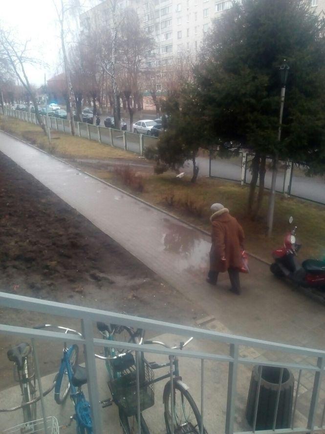 Фото дня — "мокрий" Козятин, фото №3 на сайті 20minut.ua