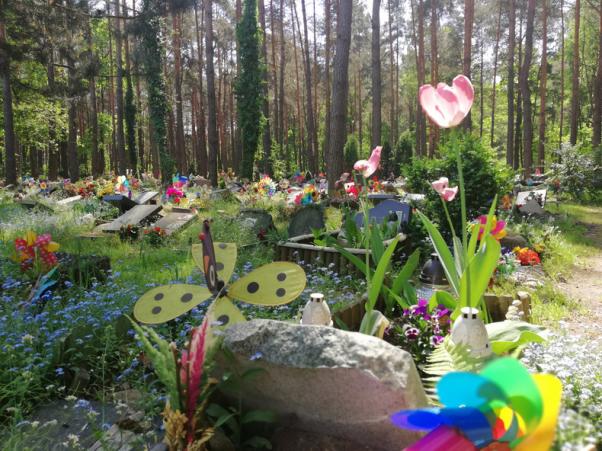 У сусідів з почестями, у нас - під ногами: хмельничани влаштували кладовище для тварин у Дендропарку, фото №7 на сайті vsim.ua