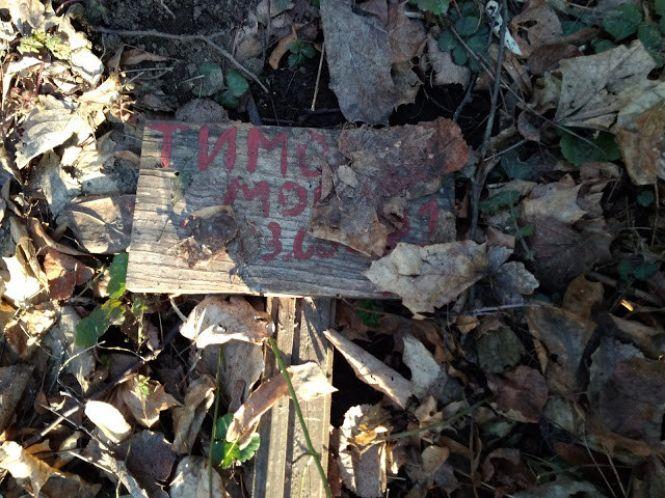 У сусідів з почестями, у нас - під ногами: хмельничани влаштували кладовище для тварин у Дендропарку, фото №3 на сайті vsim.ua