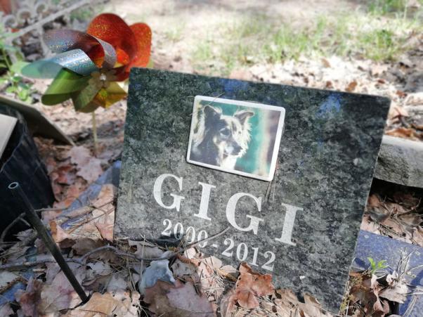 У сусідів з почестями, у нас - під ногами: хмельничани влаштували кладовище для тварин у Дендропарку, фото №6 на сайті vsim.ua